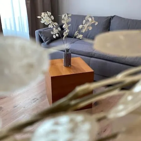 Atelierhaus Zentrum,ruhig,100 Meter Vom Rathausplatz *