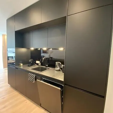 Apartment Atelierhaus Zentrum,ruhig,100 Meter Vom Rathausplatz *
